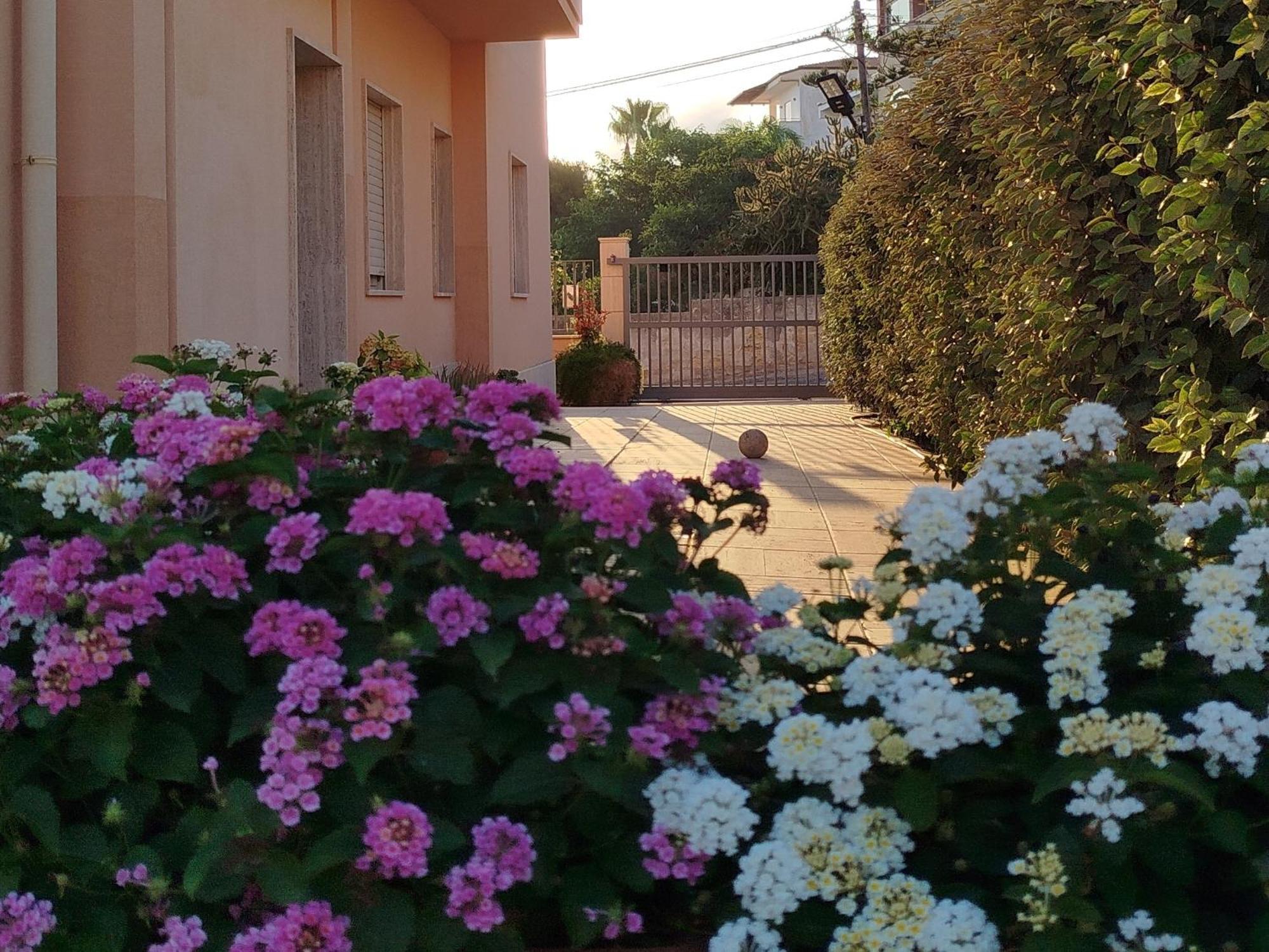 Profumo Di Mare 1 Βίλα Alcamo Marina Εξωτερικό φωτογραφία